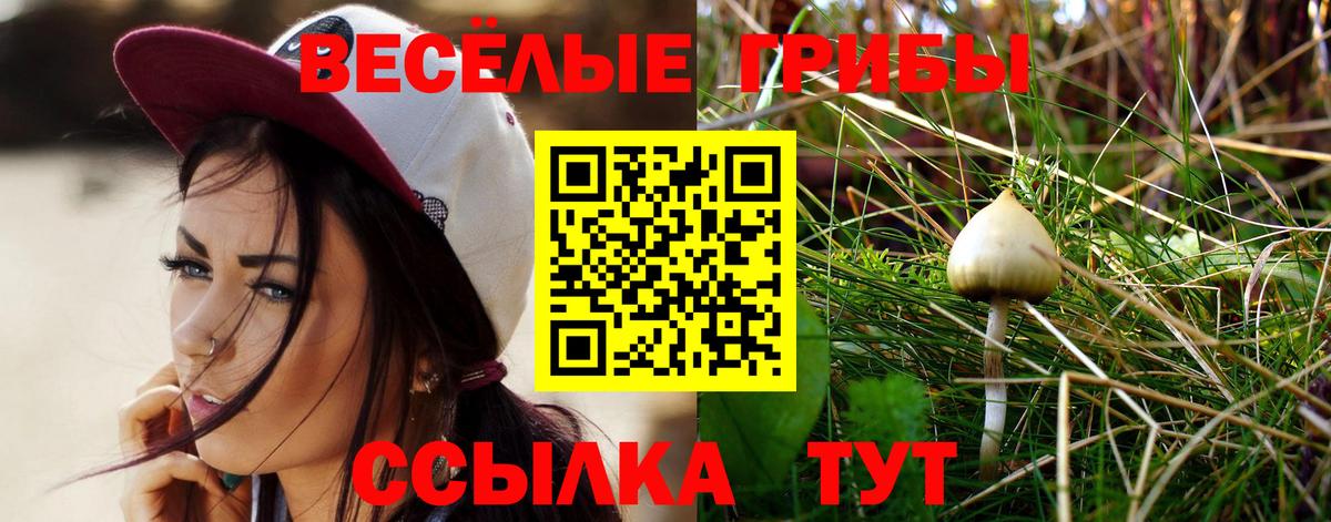 Солнечногорск  Галлюциногенные грибы Psilocybe  Вход с VPN 
